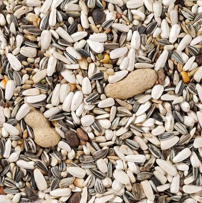 Deli Nature 60 Papagei Basic 15kg