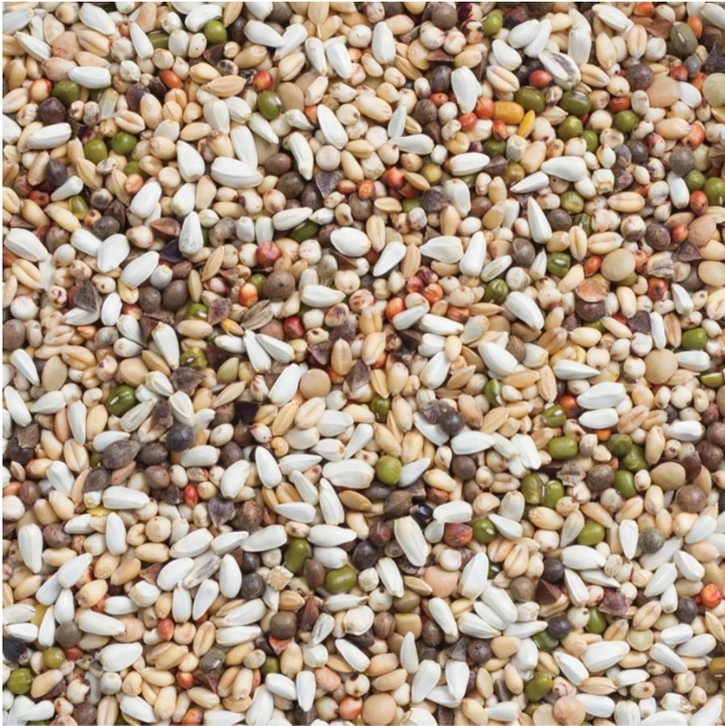 Deli Nature 33 Großsittich- und Papageienkeimsamen 15kg