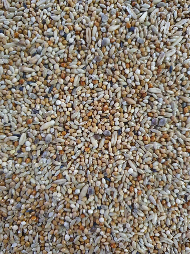 Deli Nature 66 Sittiche Super 20kg