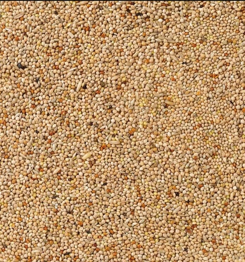Deli Nature 51 Sittiche Basic 20kg