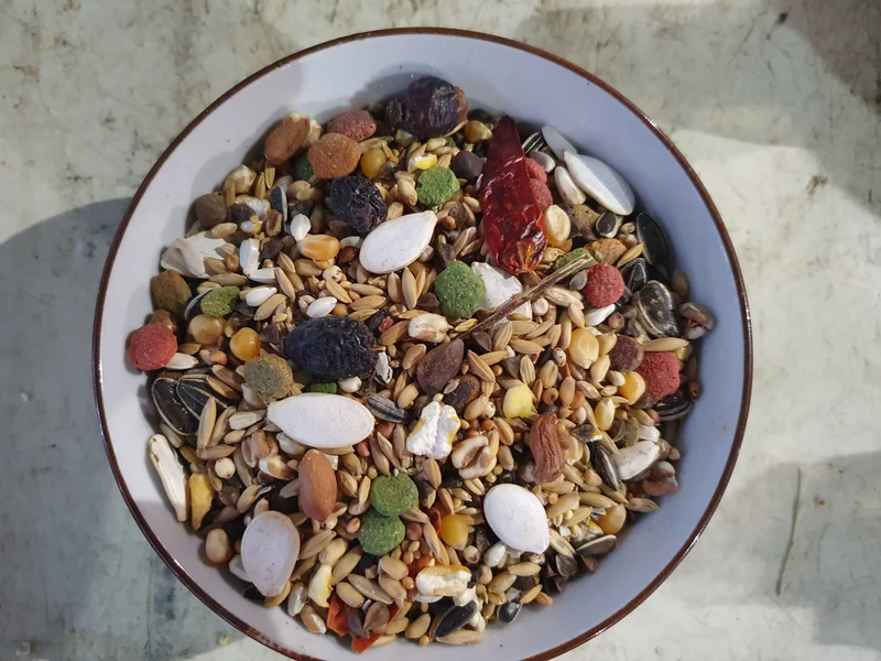 Versele-Laga Prestige Premium Amazon Papagei 1kg
