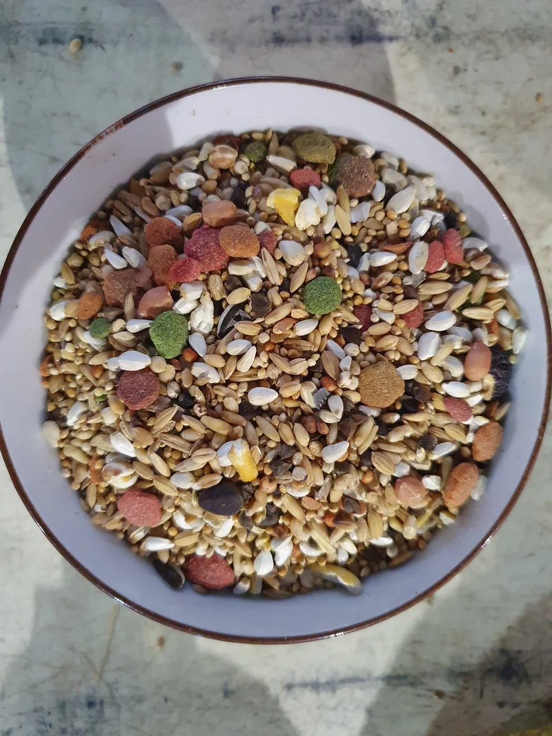 Prestige Premium Australischer Papagei 1kg