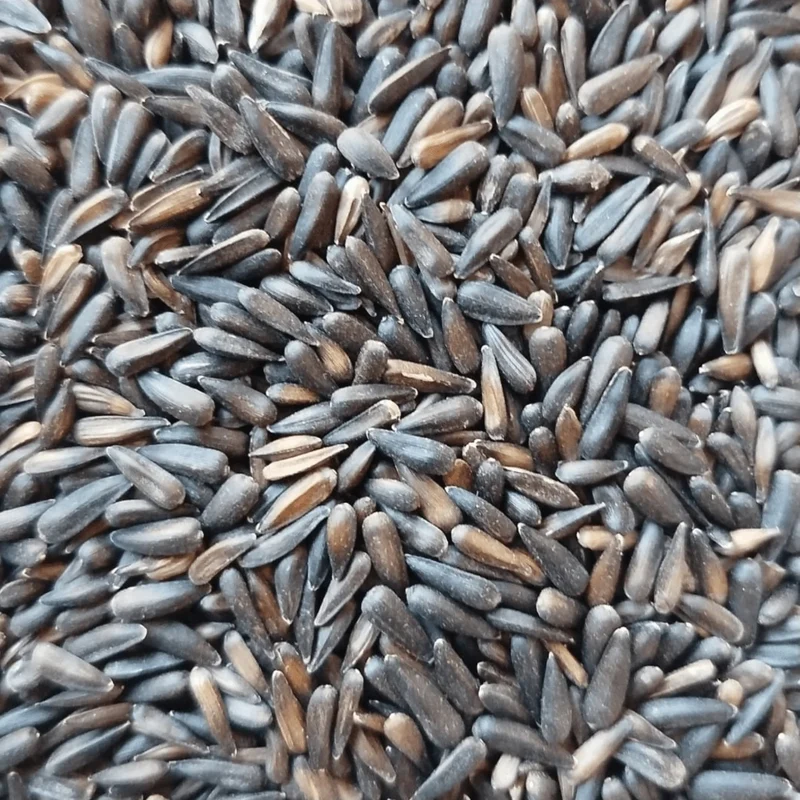 Micro Schwarze Sonnenblumenkerne 1kg