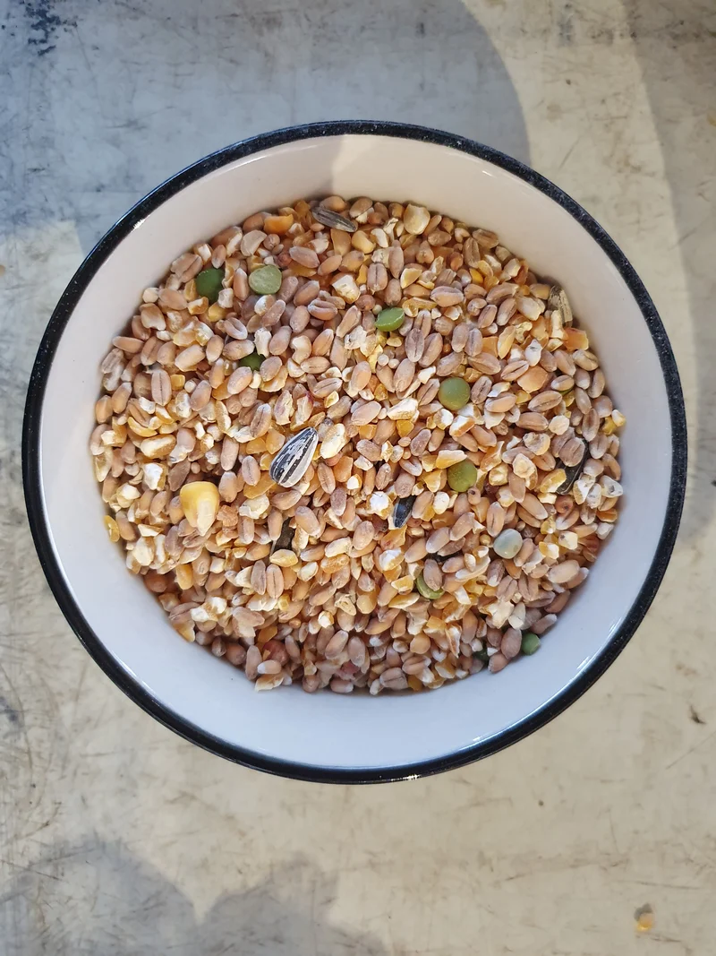 Farm-X Kükenkorn Poeljenkorn 20kg