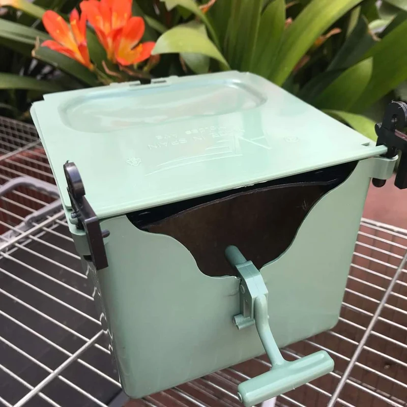 Nest Isabella Exotics - Moldes Ave