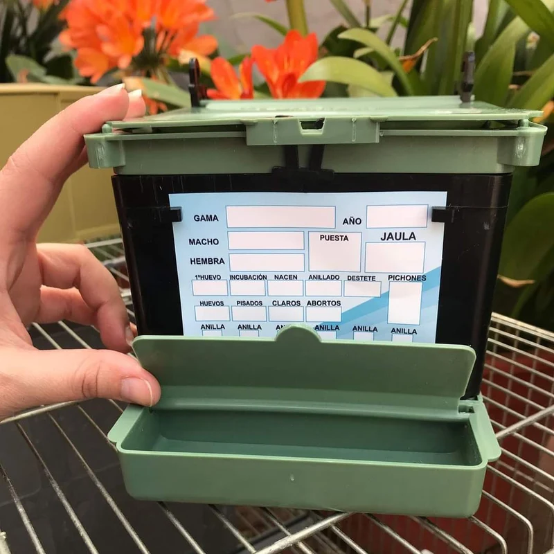 Nest Isabella Exotics - Moldes Ave