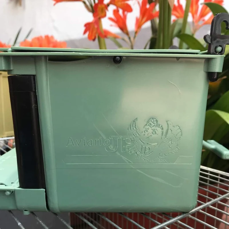 Nest Isabella Exotics - Moldes Ave