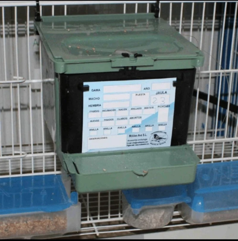 Nest Isabella Exotics - Moldes Ave