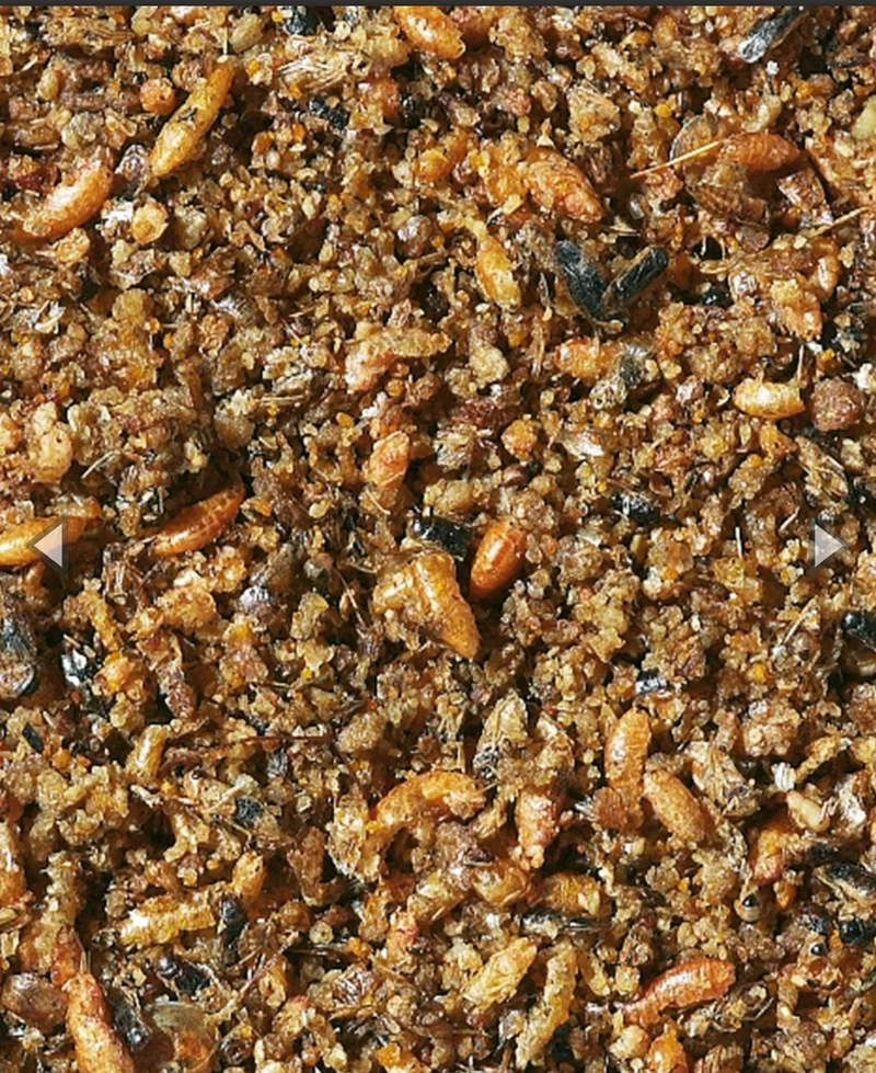 Nutribird - Orlux Insektenpatee 1kg - Mind. 25 % Insekten