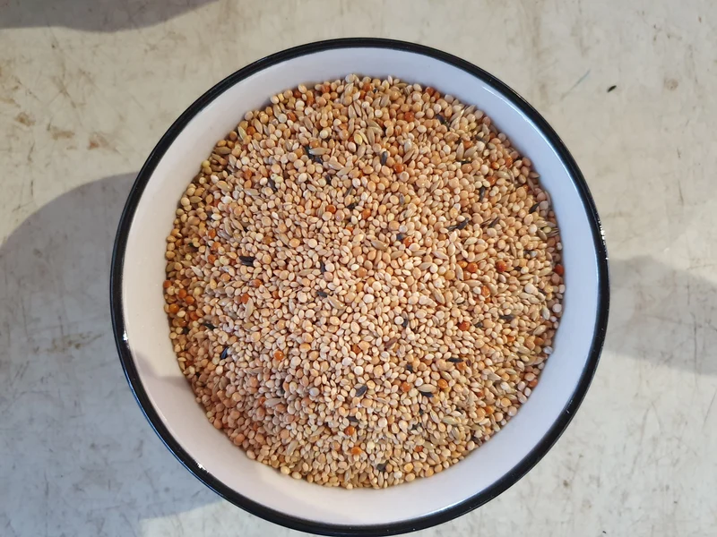 Exotische Vögel Bird-X 1kg