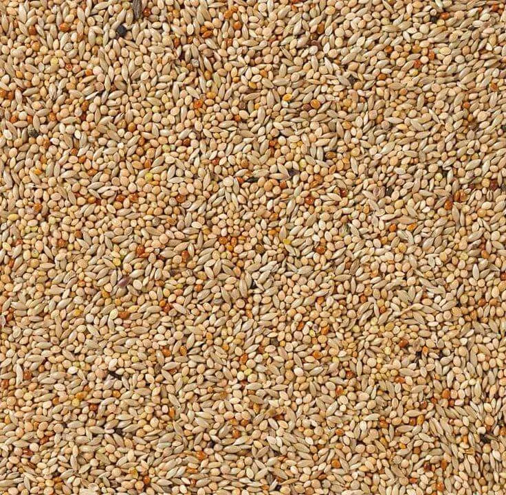 Deli Nature 40 Tropenvögel Basic 20kg