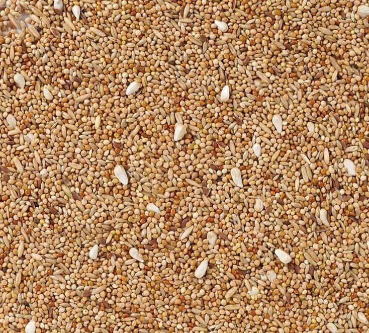 Deli Nature 36 (Gras) Sittich Extra mit Cardy 20kg