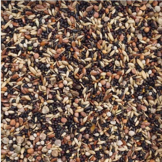 Deli Nature 99 Europäische Vögel Basic 20kg