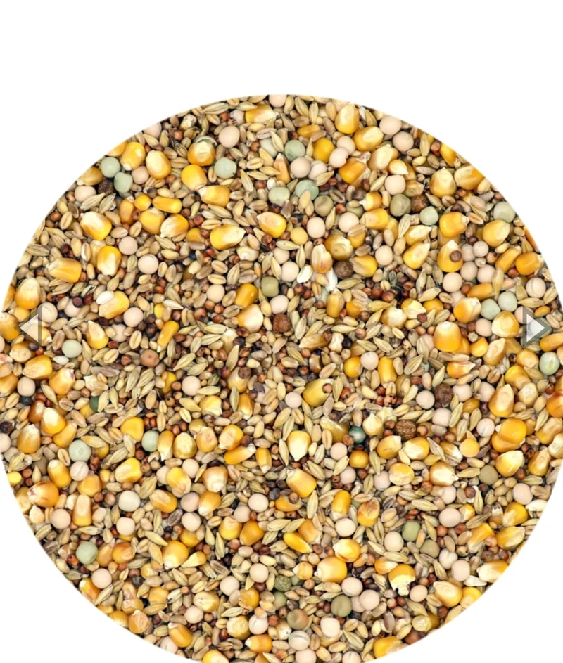 Mariman 4 Seasons mariman - Taubenfutter 25 kg - Versele Laga