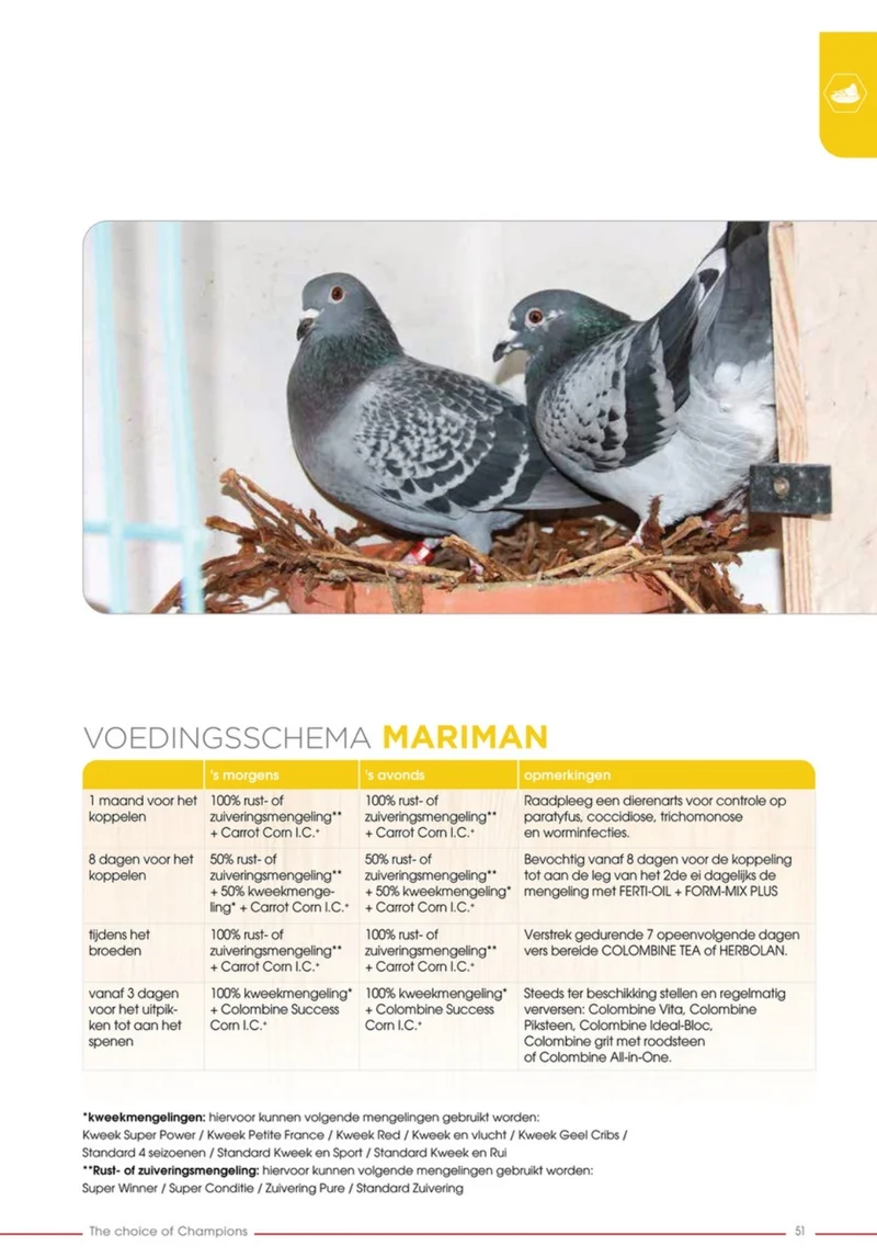 Reinigungsstandard 25 Kg Mariman - Versele Laga