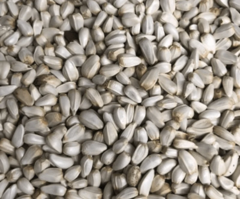 Cardi 1kg (Distelsamen)