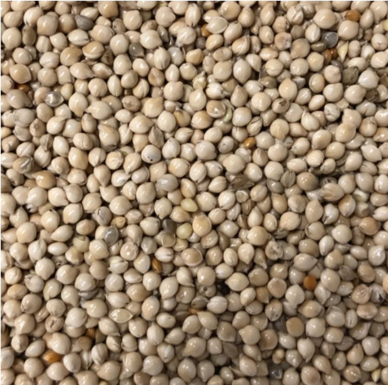 Germix Exoten (Tropische Vögel) 4kg