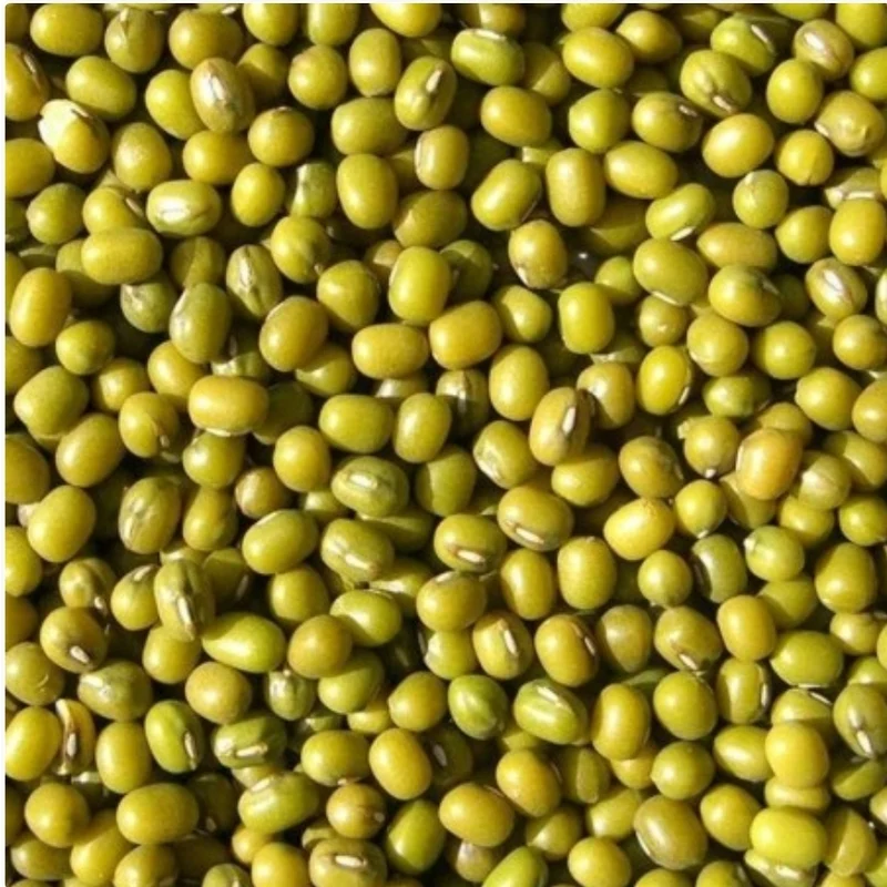 Katjang Idjoe (Keimsaat – grüne Mungbohnen) 1 kg