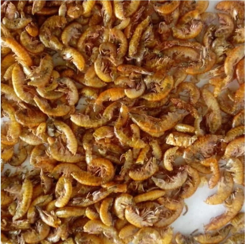 Gammarus (getrocknete Süßwassergarnelen)