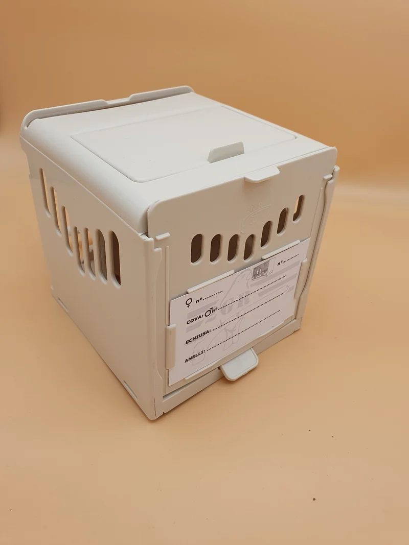 Nest Samsara - 2gr (Benelux)