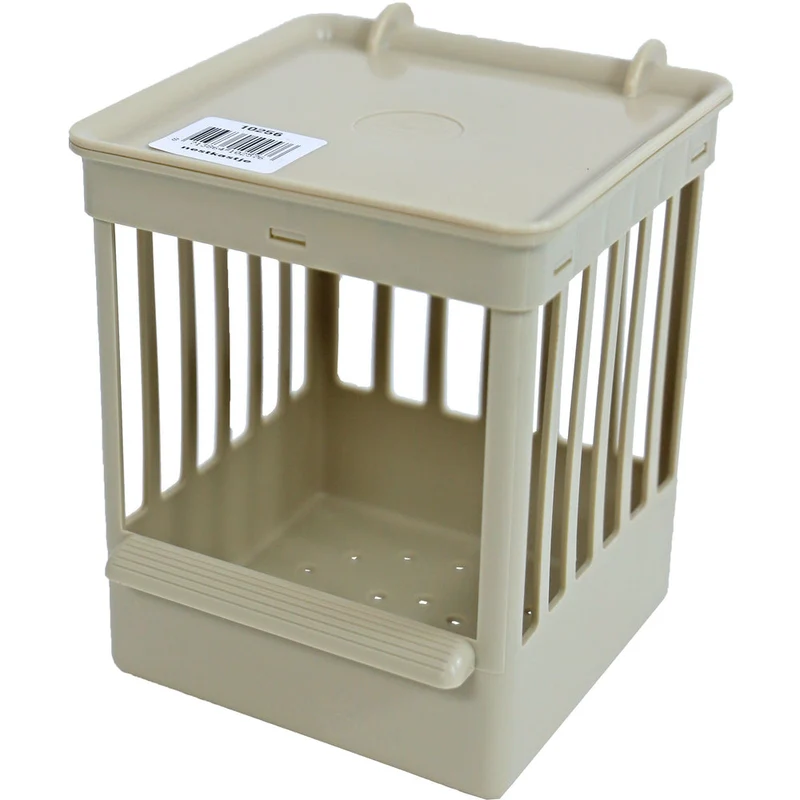 Gitterbox Kunststoff beige