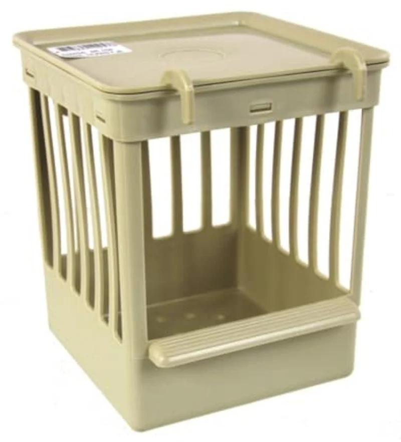 Gitterbox Kunststoff beige
