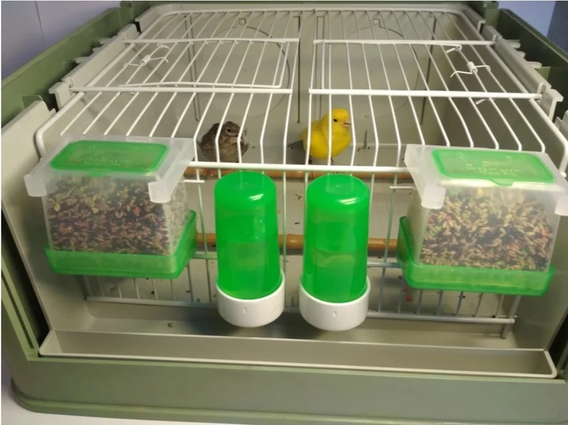 Trinkbrunnen (grün) Anti-Abfall-System 80 ml - Moldes Ave