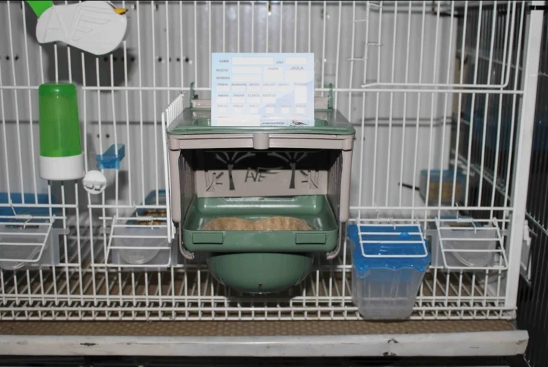 Dubai Nest 8cm - Moldes Ave
