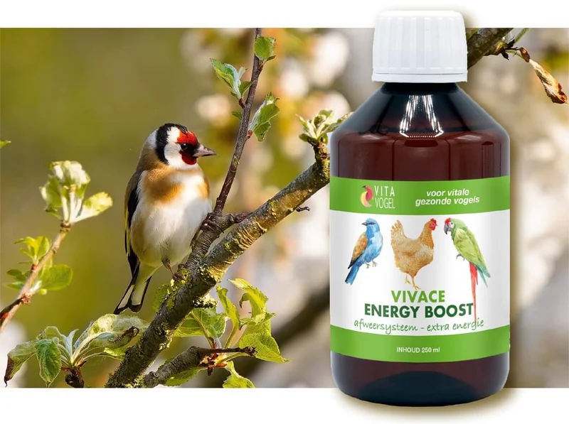 Vivace Energy Boost 100ml - Vita Vogel